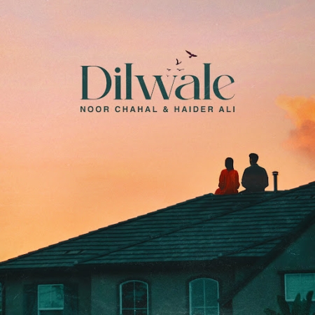 Dilwale Haider Ali x Noor Chahal