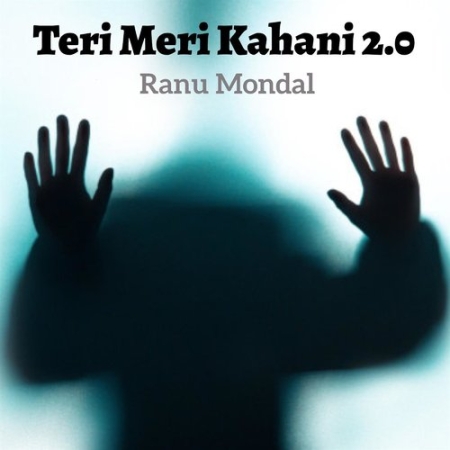 Teri Meri Kahani