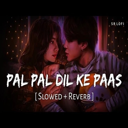 Dil Ke Paas (Slowed Reverb) Lofi Mix
