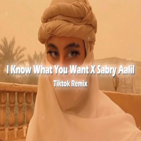 I Know What You Want X Arabic Sabry Aalil