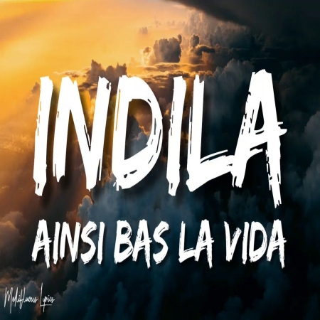 Ainsi Bas La Vida (Remix)