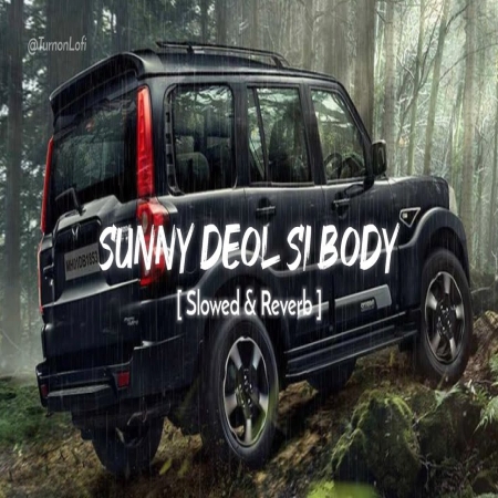 Sunny Deol Si Body Re (Slowed Reverb)