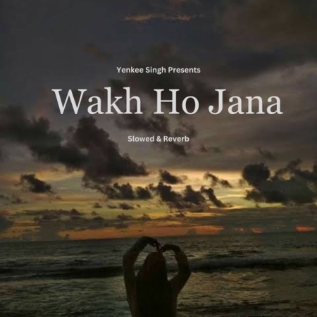 Wakh Ho Jana (Slowed Reverb) Lofi